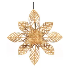 PR Home Anna Christmas Star Nature